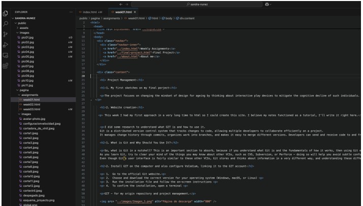Visual Studio Code interface